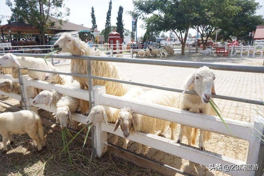 泰国旅游冷门,泰国华欣好玩的
