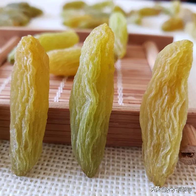 经常吃并不代表着你就了解它，一起来看看熟悉又陌生的葡萄吧