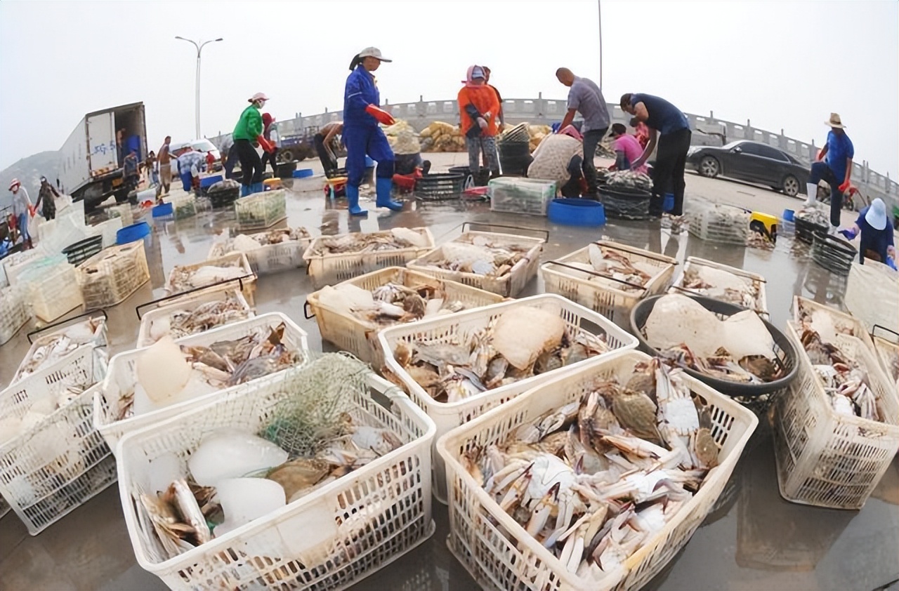 沿海哪里吃海鲜最好吃,中国第一滩海鲜美食推荐