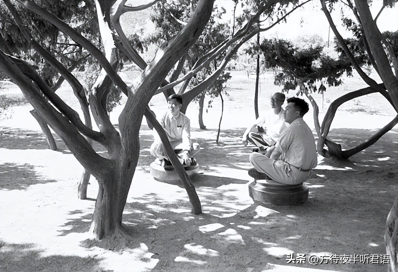 殊异之城：金石声穿过岁月的青岛留影