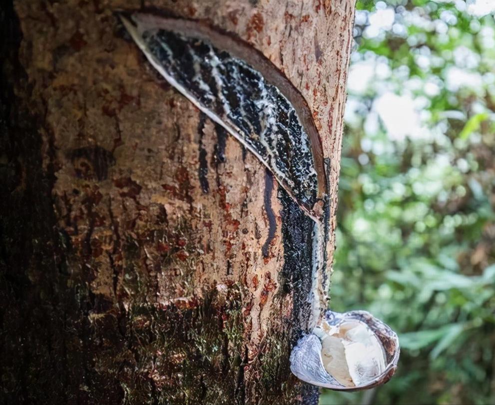 大爷挖出一个石头,老百姓挖到一块自然奇石有啥说法