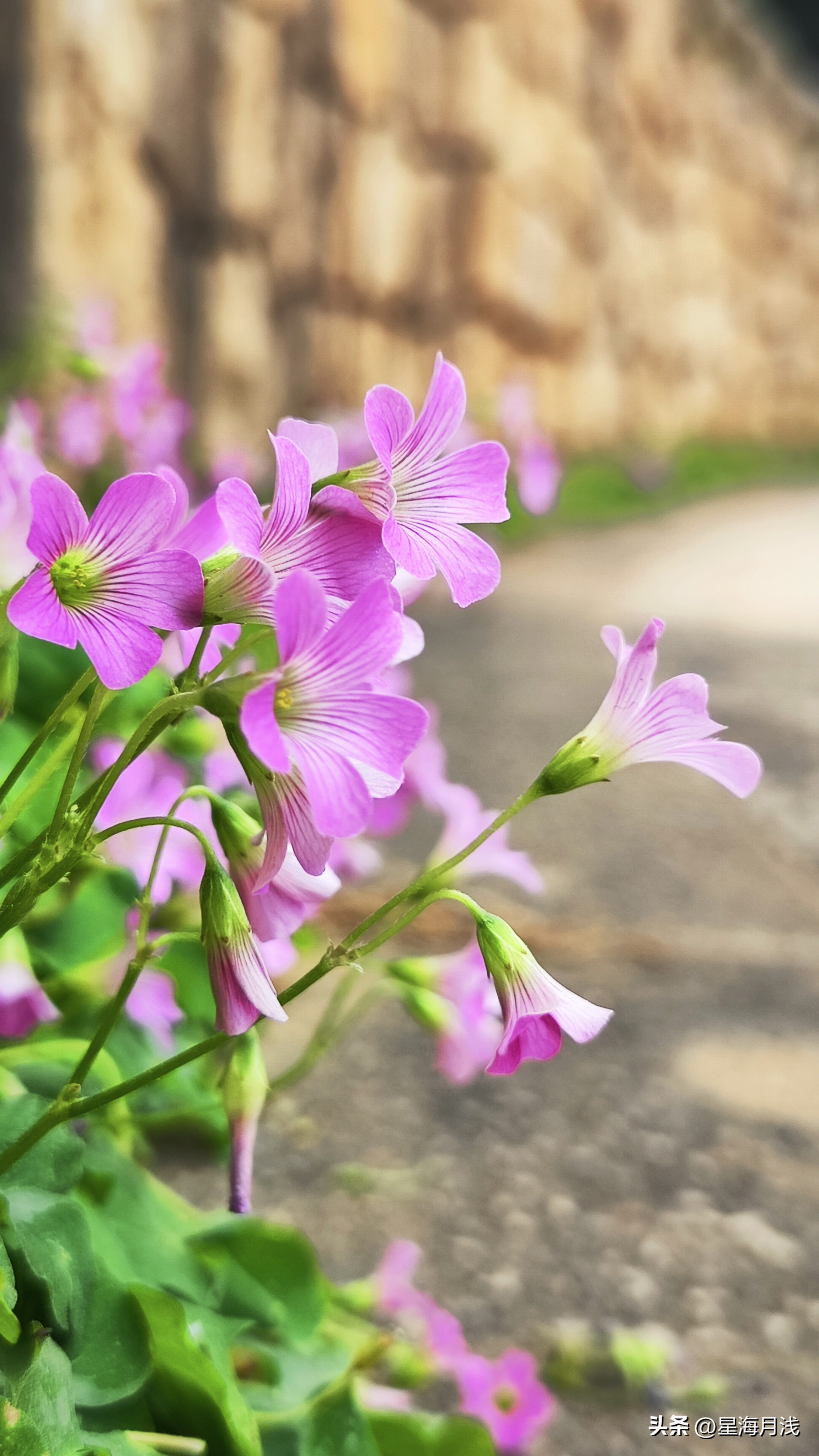 广州天河区周末免费儿童公园,儿童乐园广州半天遛娃好去处