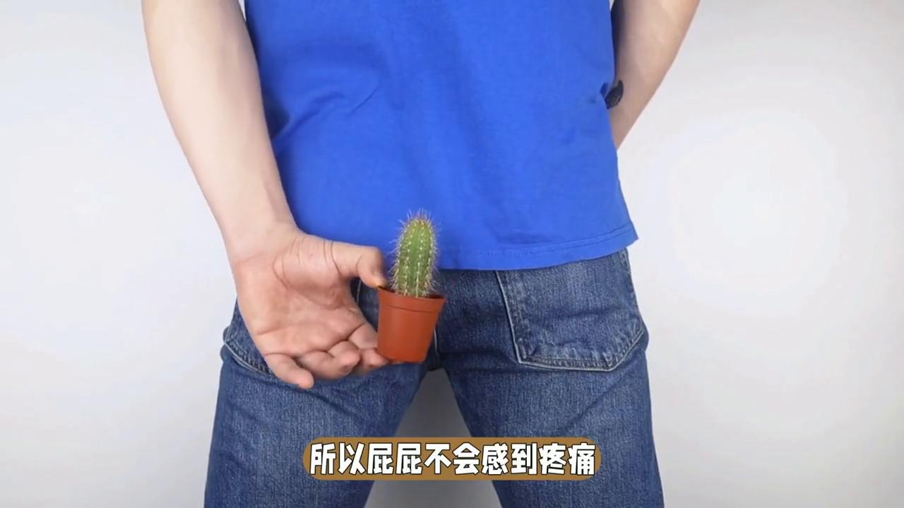 拉肚子肚子痛最简单止痛方法,为啥拉肚子肚子也不痛