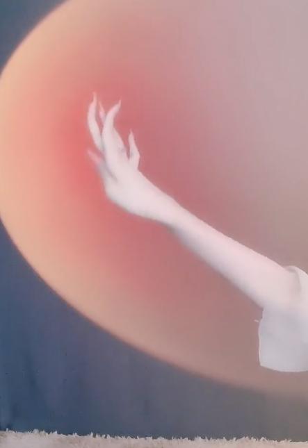 “天下第一舞指”密加：全网最会挣钱的一双手，一场直播赚200万