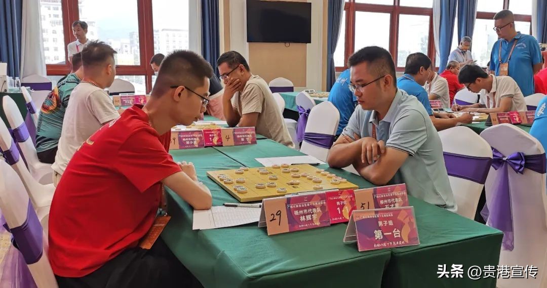 贵港杨小平象棋,广西贵港象棋高手一览表
