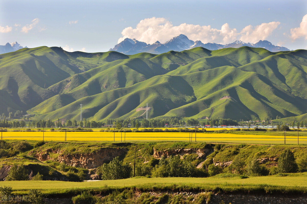 不到*疆新**，不知中国之大，不包邮的*疆新**到底有多大？