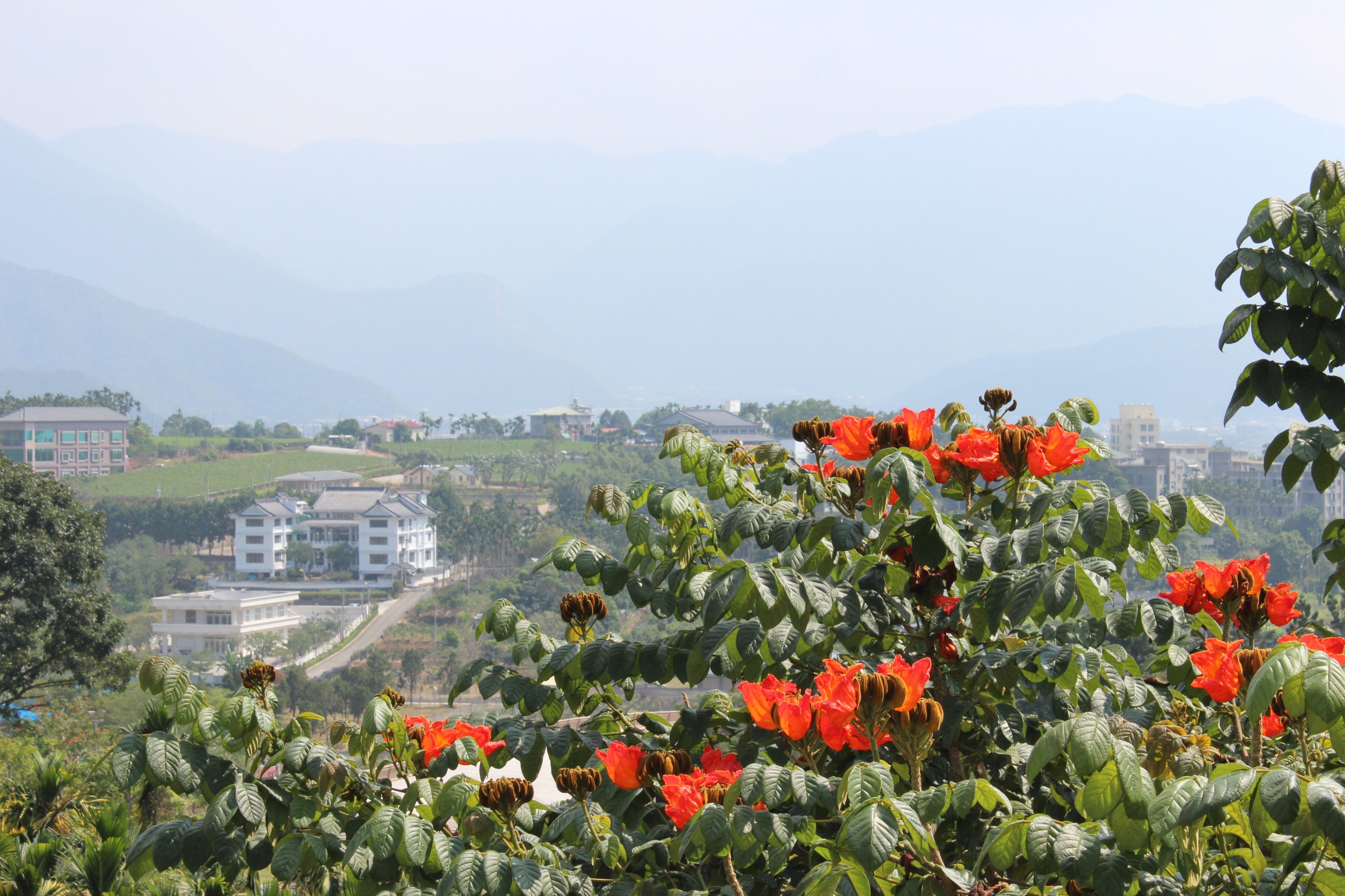 2017最全台湾购物攻略,台湾宝岛购物攻略