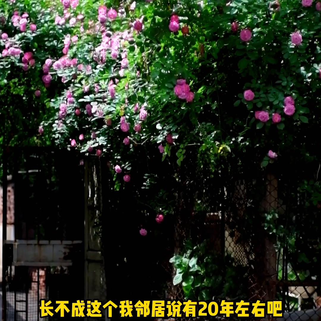 多少存款可以达到月息2000,存款20万月息1.9是多少