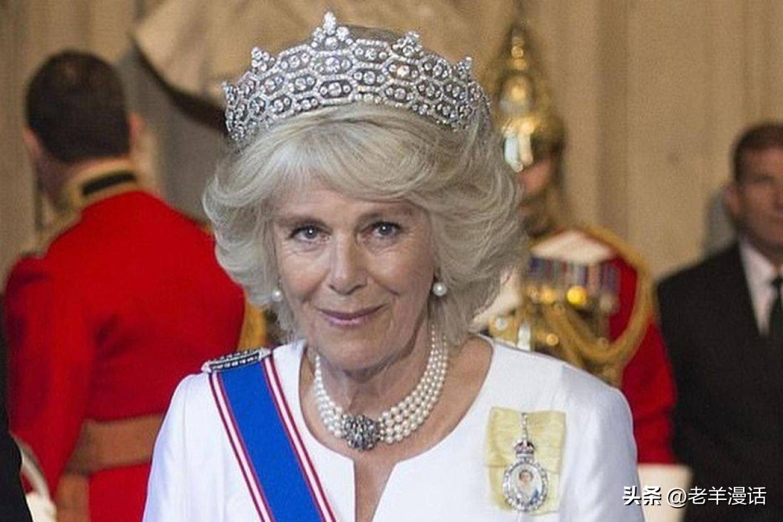 戴安娜王妃暴露了王室的什么丑闻,戴安娜王妃与英国王室谁错了