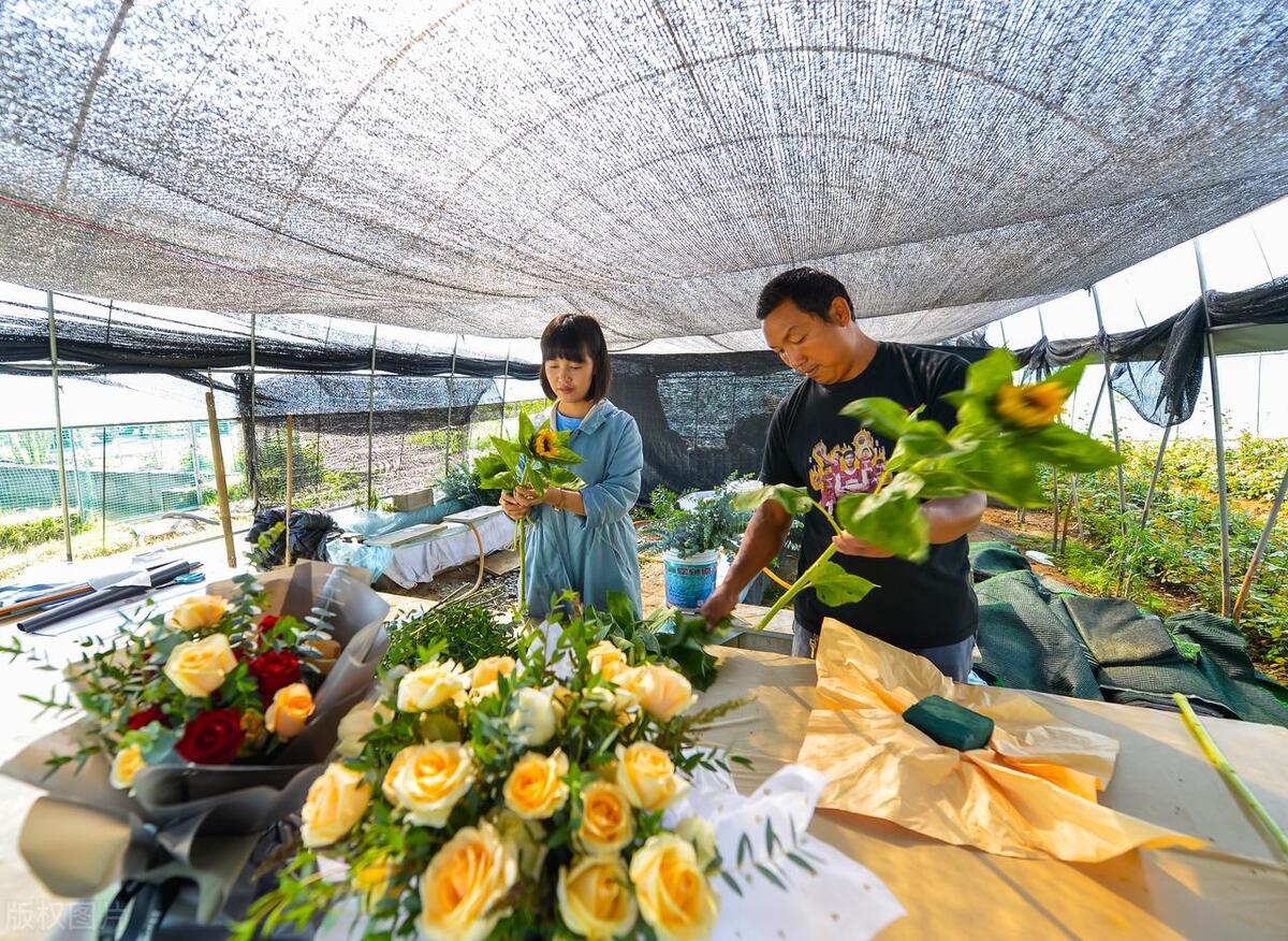 牛价上涨全国最新牛肉价格,牛价今日最新牛肉价