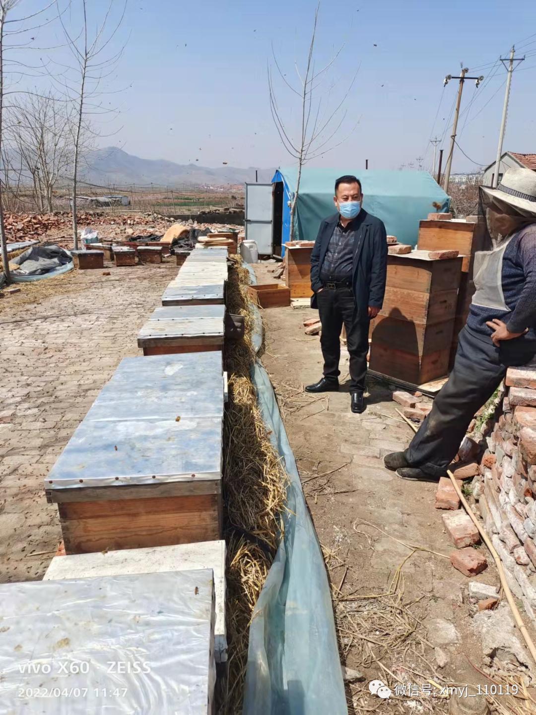 济南市三尖崮蜜蜂养殖专业合作社,杨氏土蜂园养蜂合作社