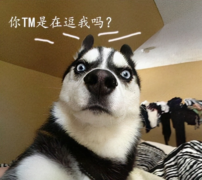 这收视第一,我今天就要开骂