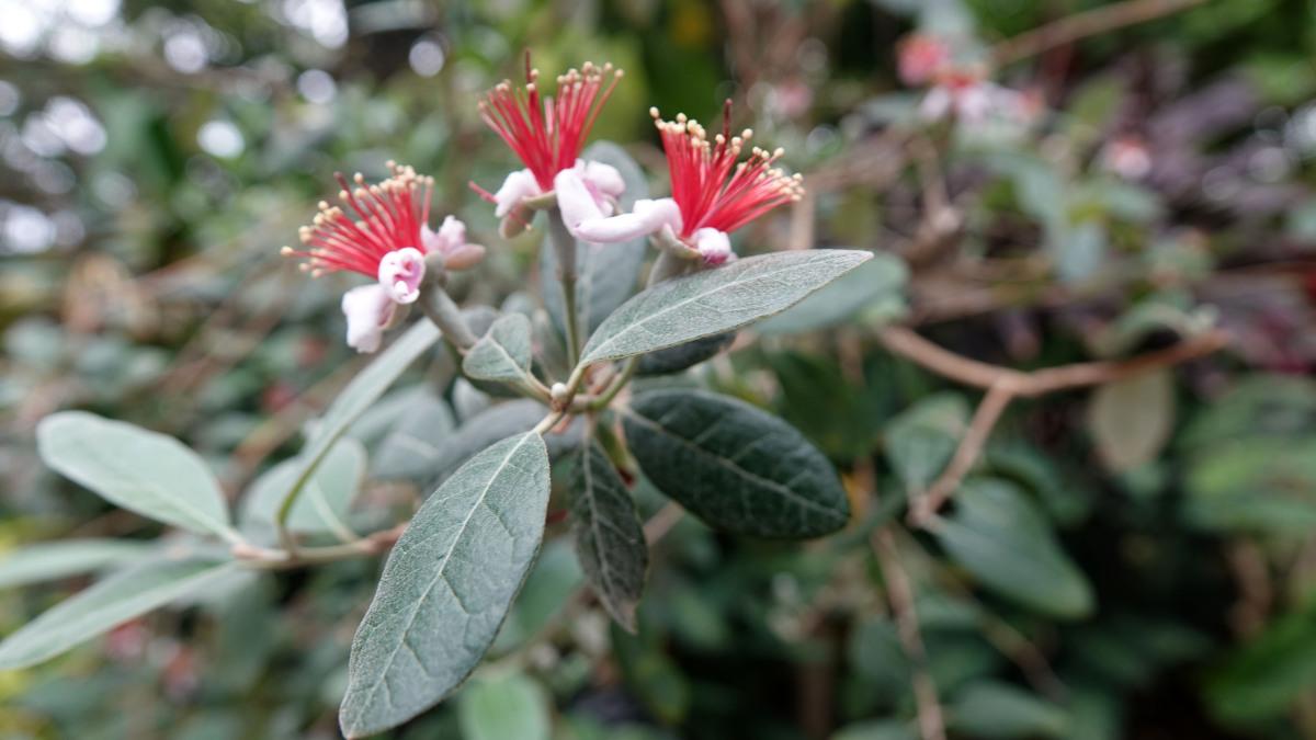 9块9玩转国家5a级景区,细数那些适合带孩子玩的免费景区