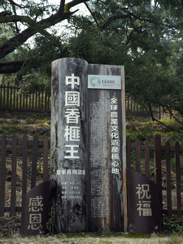 老街旧巷人间烟火,老城的人间烟火气