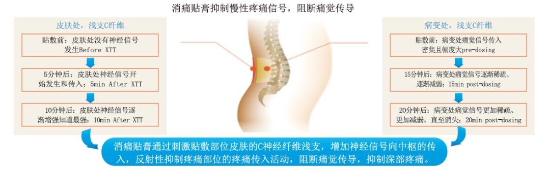 respect穆里尼奥原视频,respect雷军