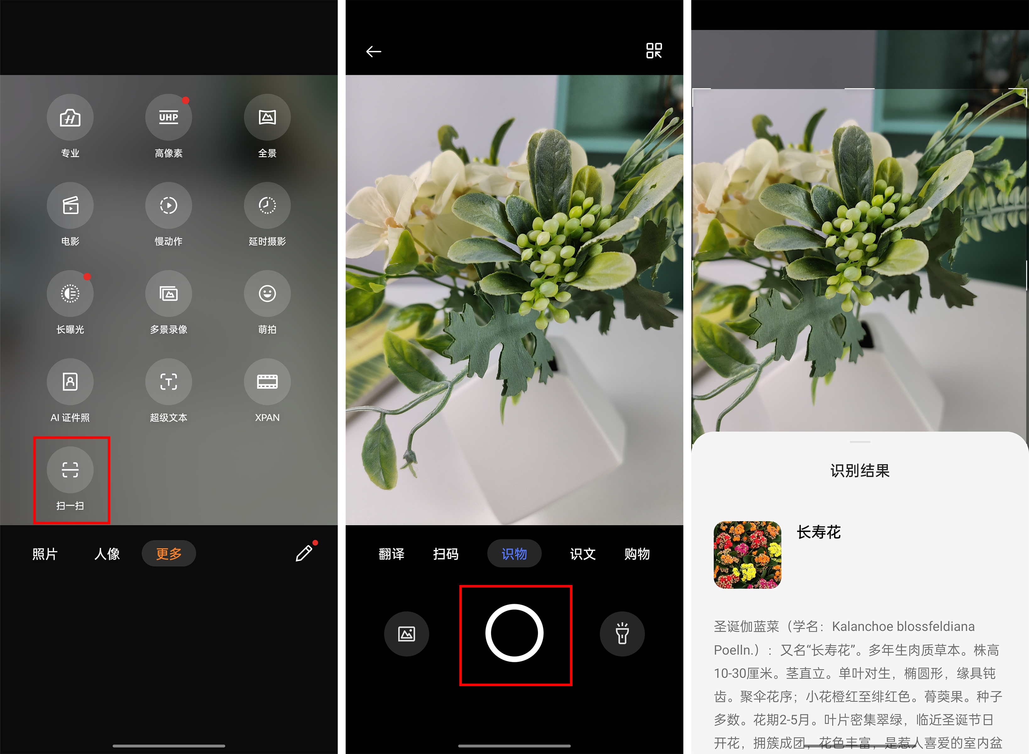 ios实况文本支持机型,coloros13有什么新功能