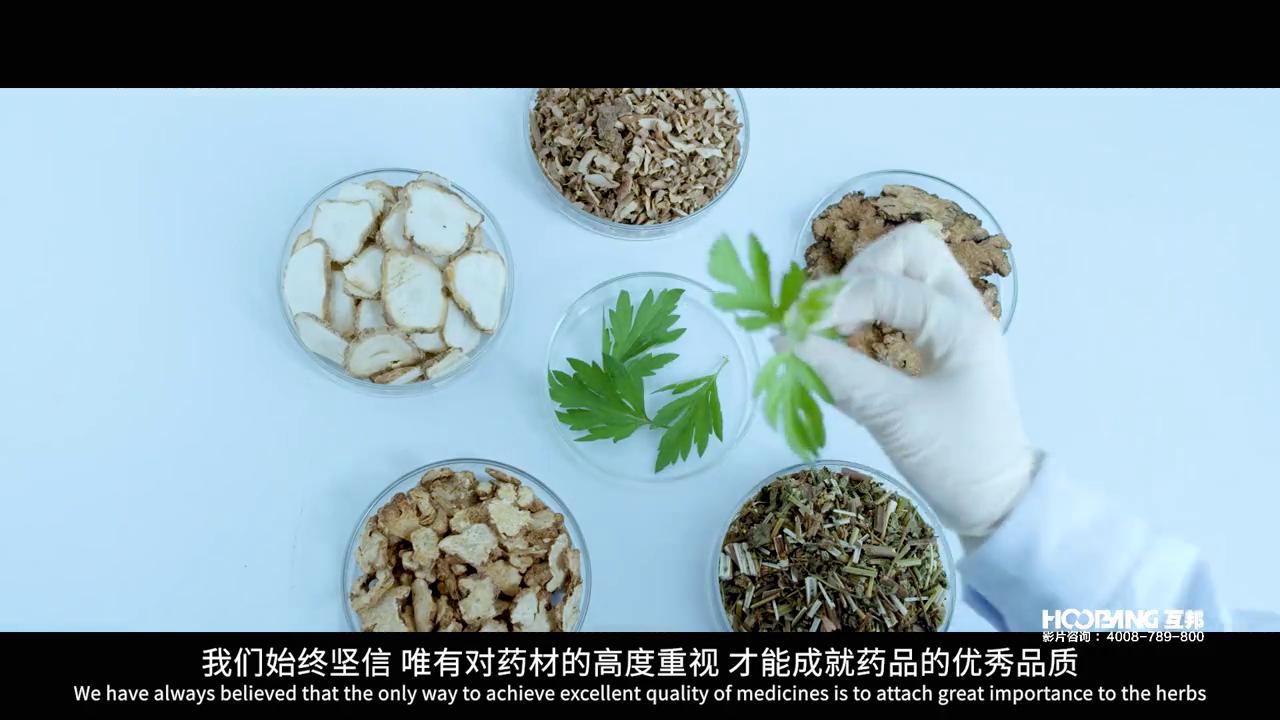 庐山百草堂园区,庐山百草堂价格