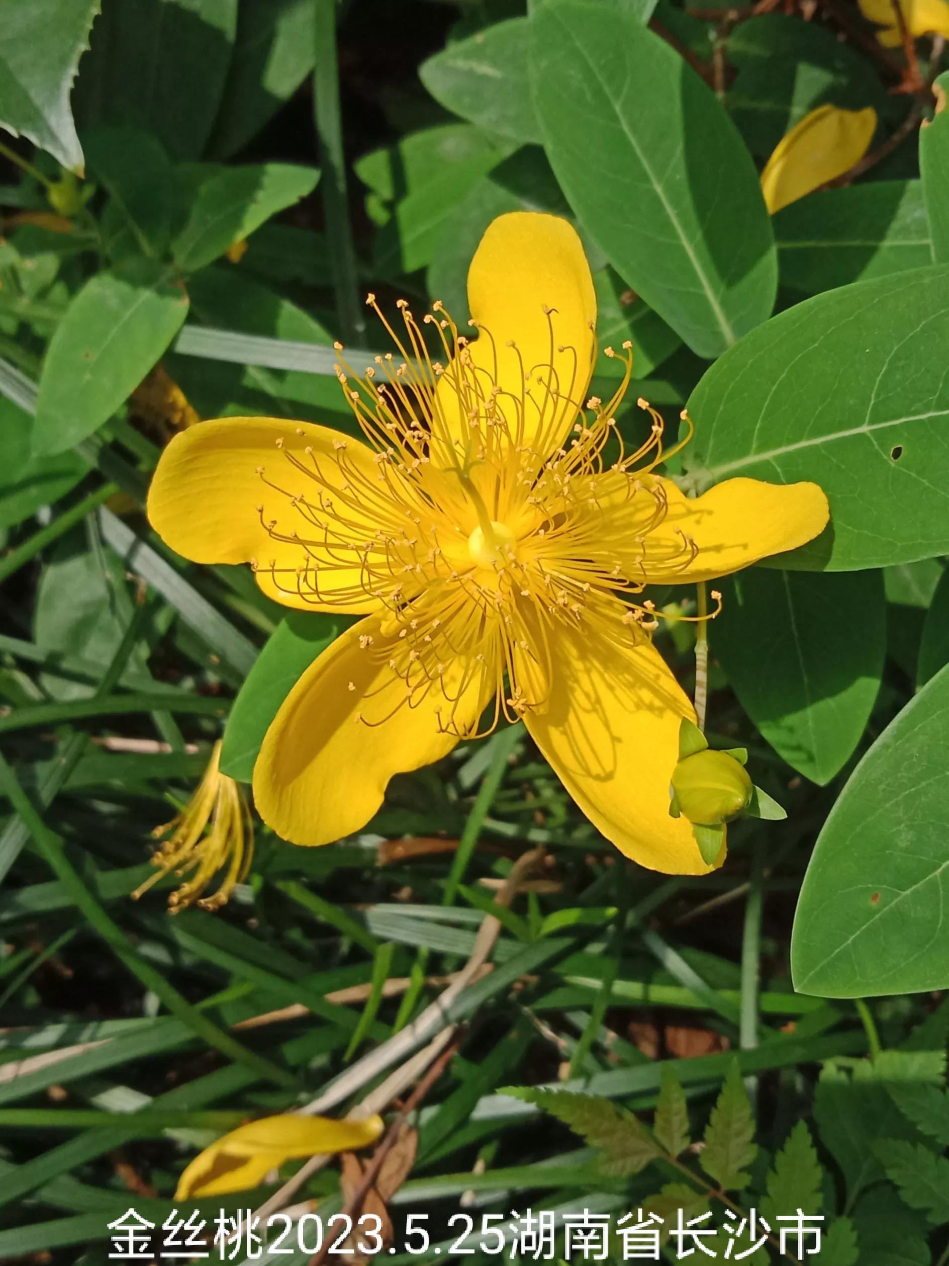 怎么找回没保存丢失的微信群,怎么找回没有保存的微信群