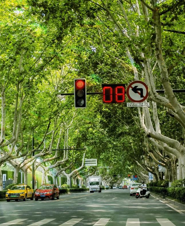 去南京旅游的感受,一个人去南京旅游的真实感受