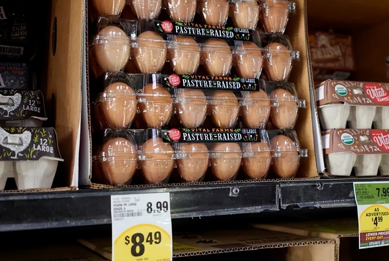 台湾400元买鸡蛋,台湾民众买24个鸡蛋花400元