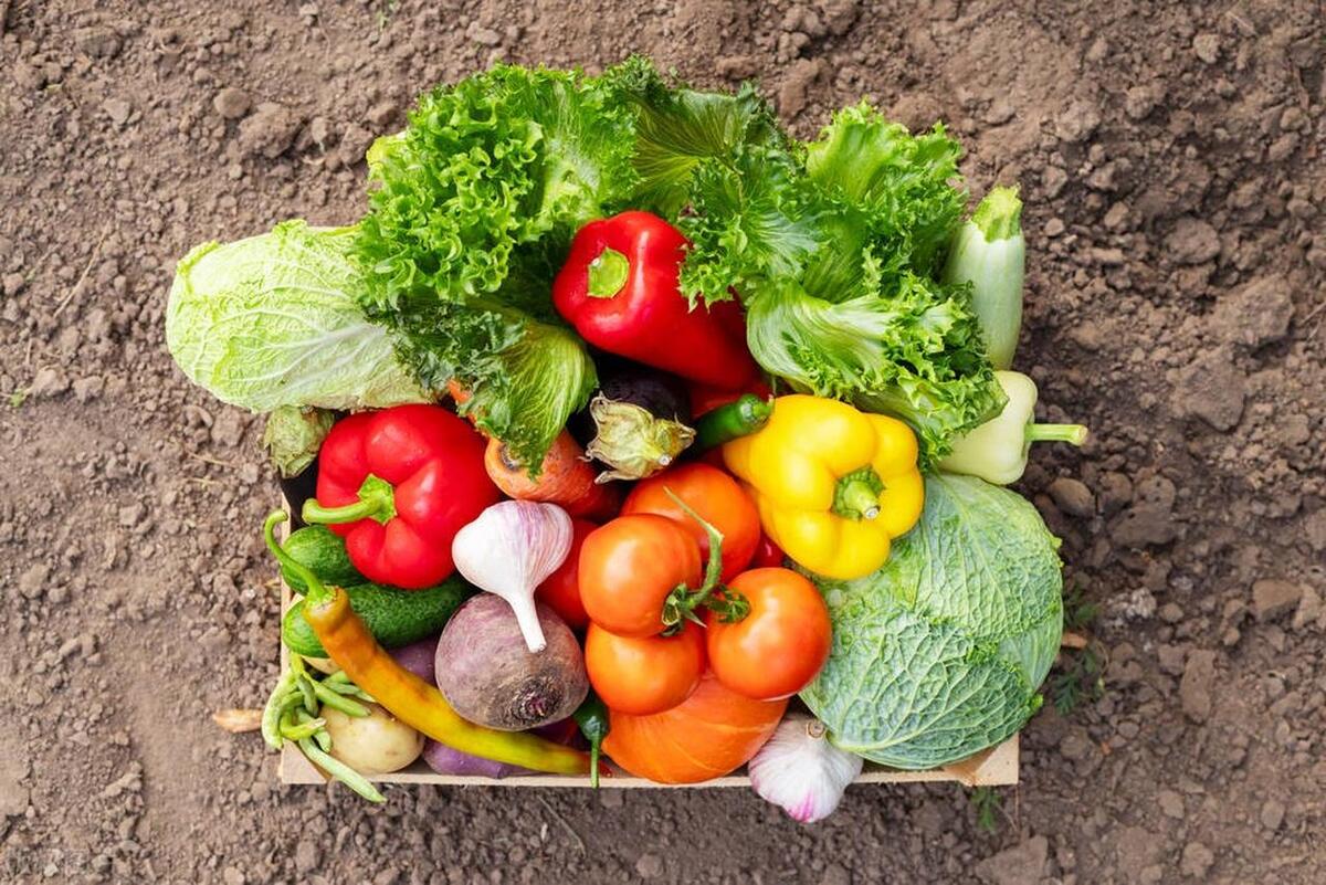 适合农村小院种植的中药材,农村土地适合种植什么经济作物呢