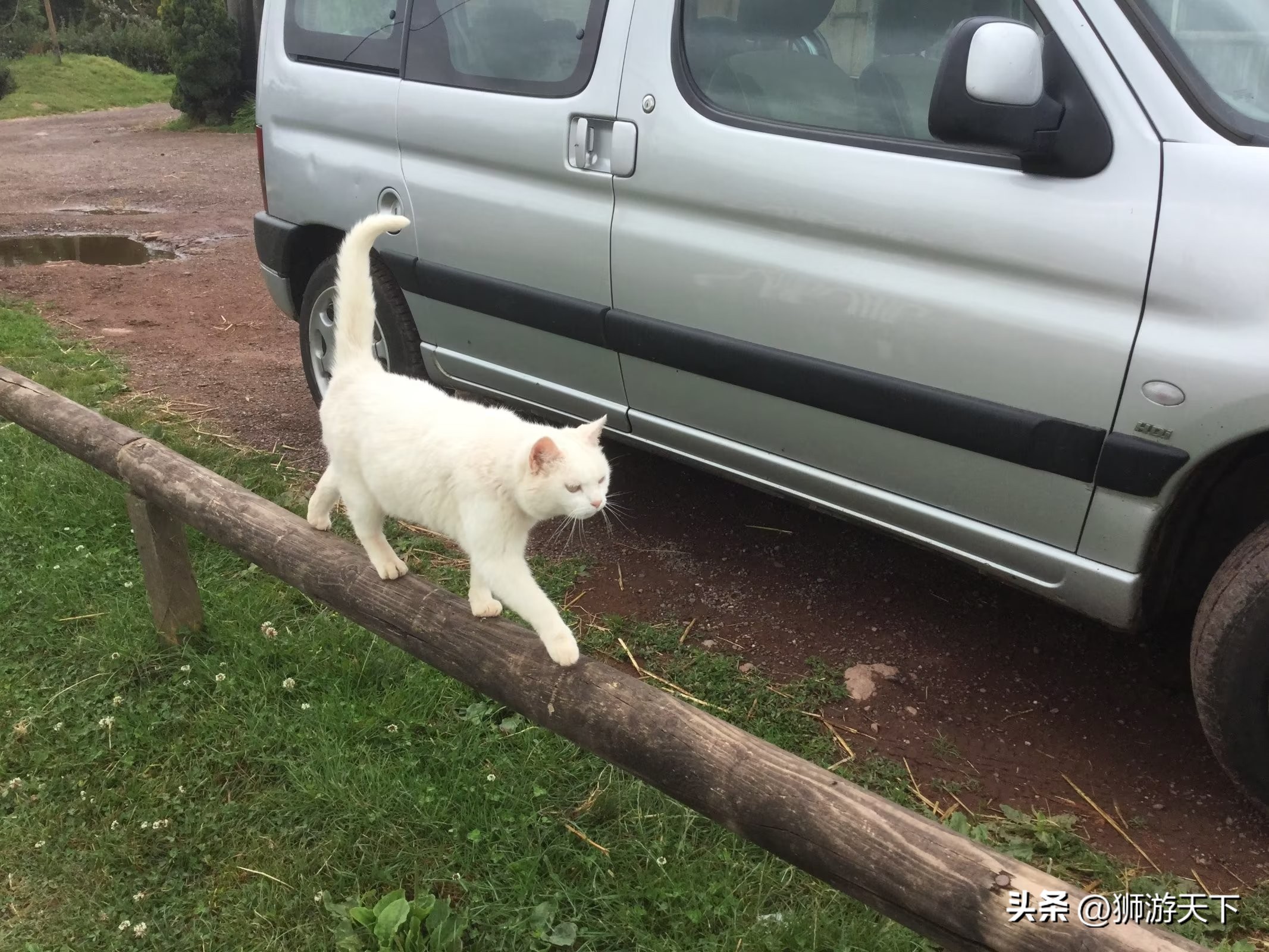 英国陪读活动,英国陪读的日常