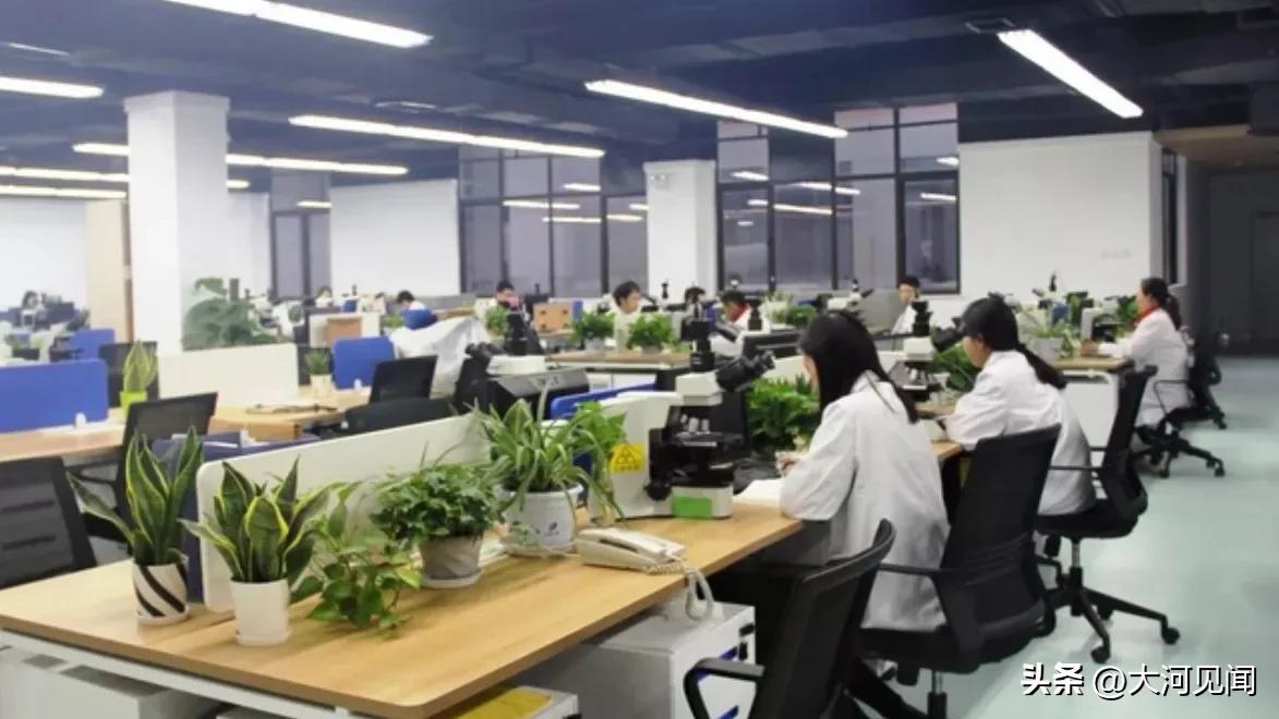 美国人对哪些中国文化感兴趣,美国人对什么最感兴趣