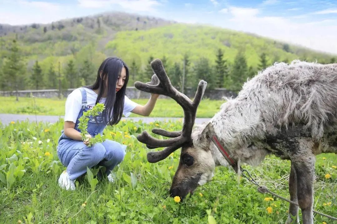 白山市出发五一2-3天短途旅游推荐,冬季白山周边一日游景点大全