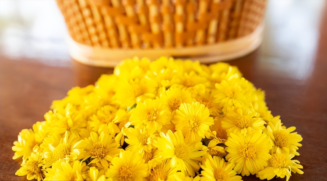 出伏喝党参和黄芪,伏天适合喝菊花茶