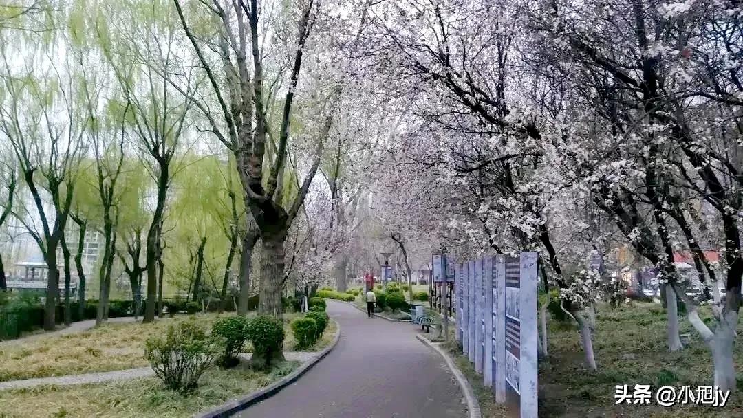 泰山曲阜台儿庄古城三日游,台儿庄曲阜三孔三日游