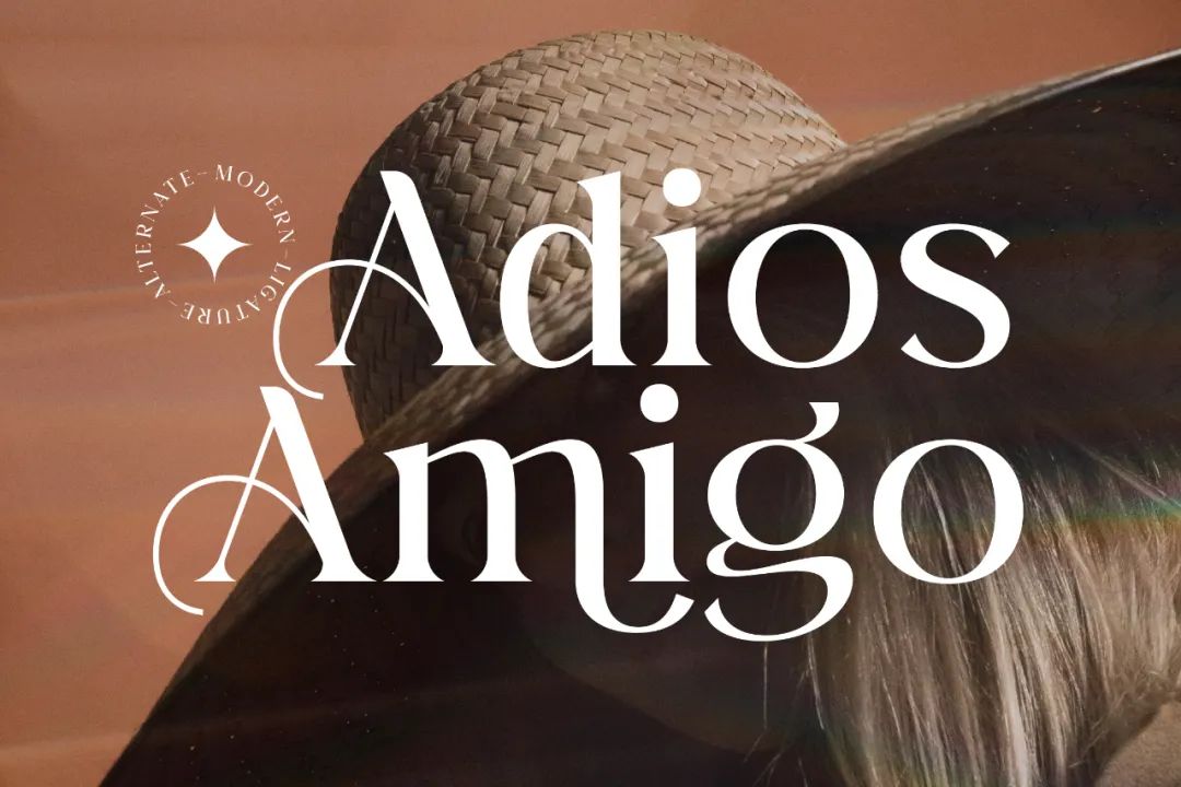 ttf纯英文好看字体,ttf英文字体