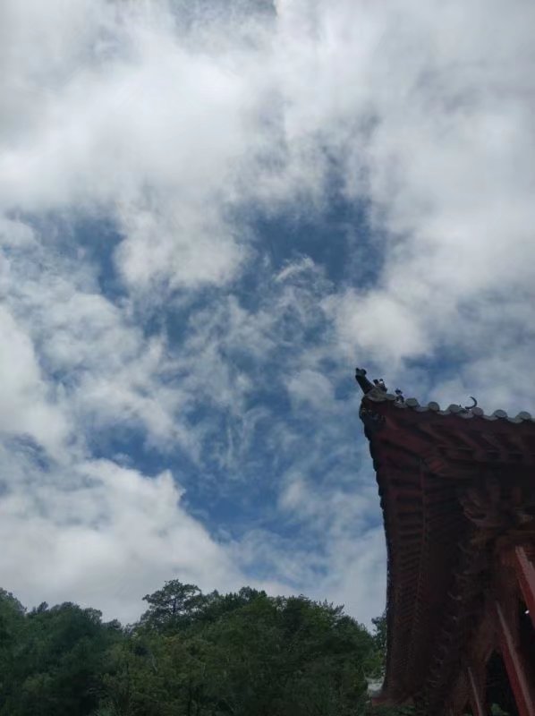 陕西镇安县的塔云山游记,陕西塔云山一日游