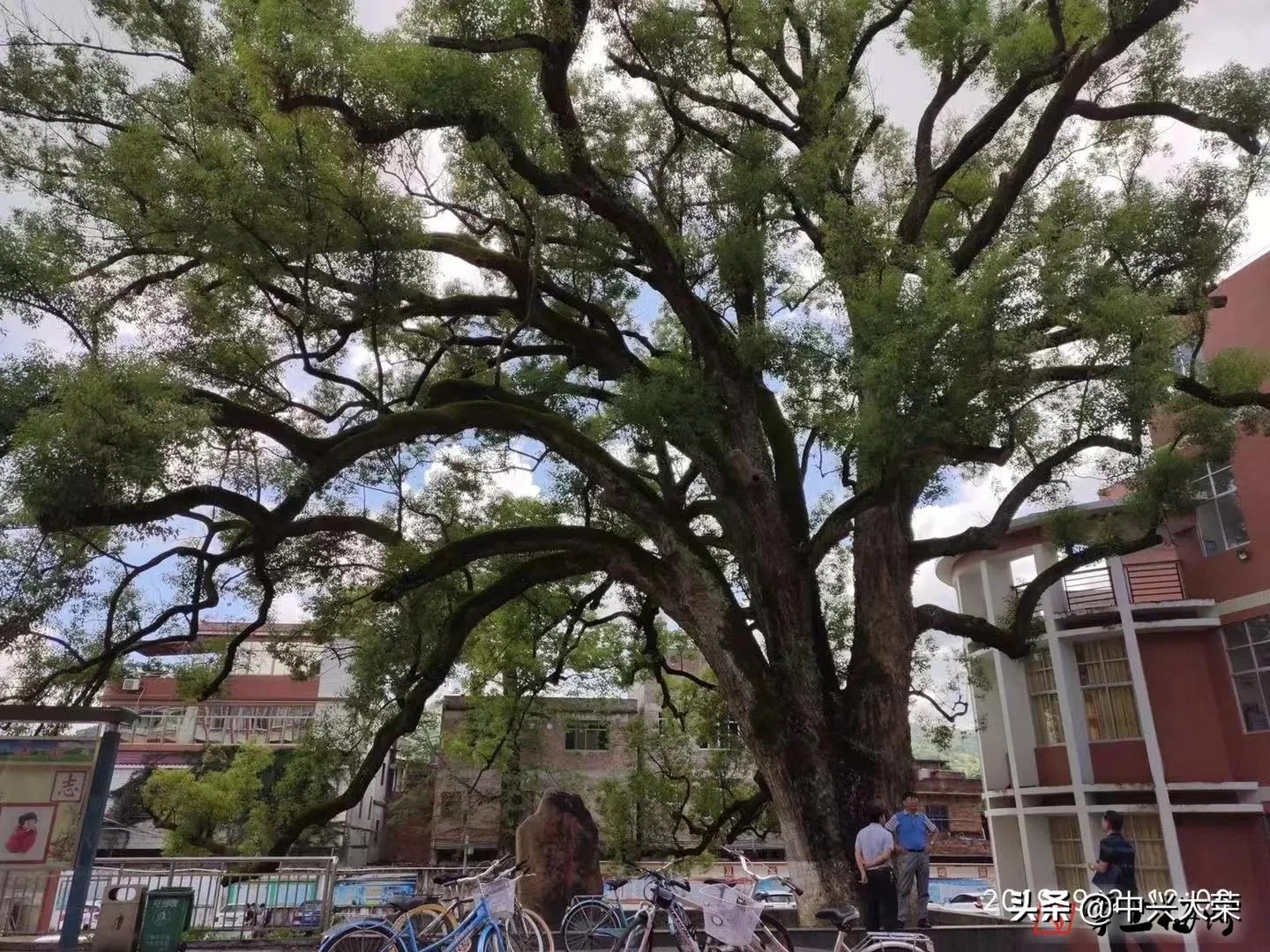 想踢一场足球比赛,渴望一场