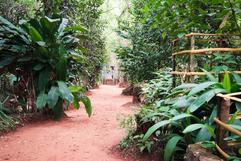 斯里兰卡旅游攻略必去景点,斯里兰卡最佳旅游攻略