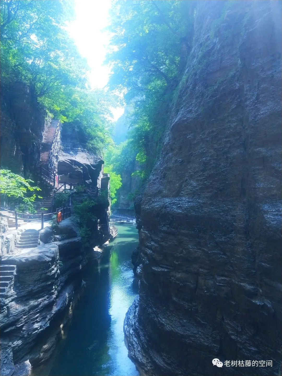 旅游的游繁体字,旅游的游踪