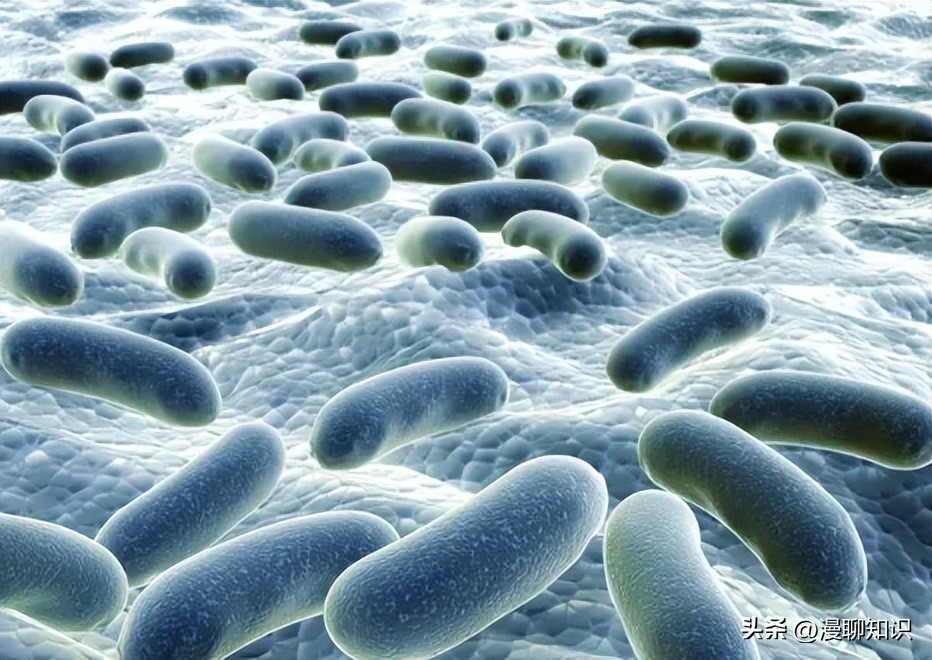 妇阴康洗剂的用途,妇阴康洗剂是抗生素药吗