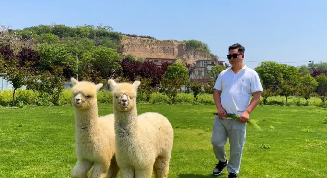 郑州周边网红打卡游玩攻略,适合孩子玩的郑州网红景点打卡地