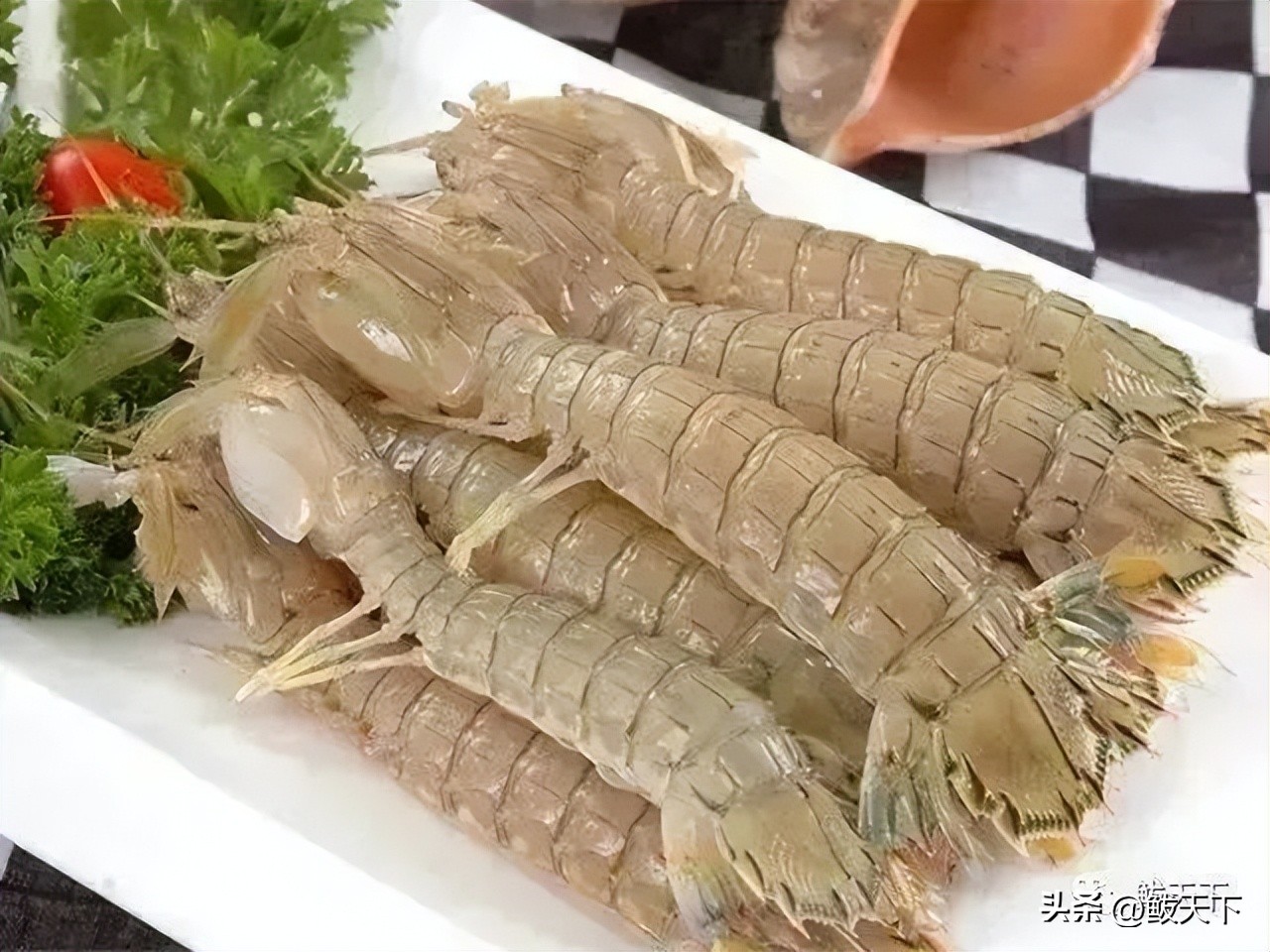 营口鲅鱼圈国际马拉松赛,鲅鱼圈马博会是哪天