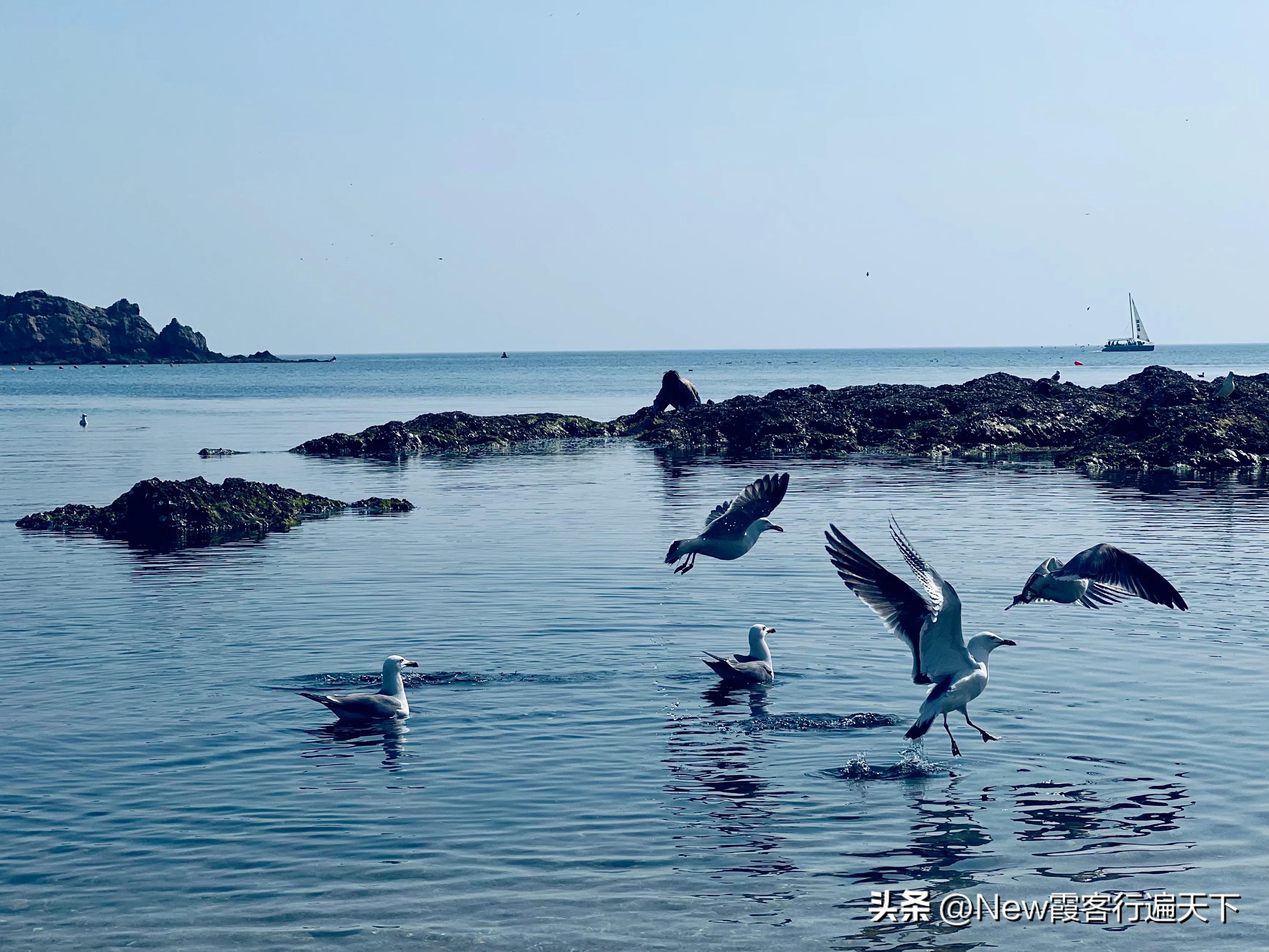 大连滨海路木栈道旅游攻略,周末徒步徜徉大连山海美景