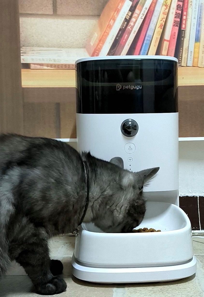 多猫宠物智能喂食器测评,宠物猫狗智能喂食器