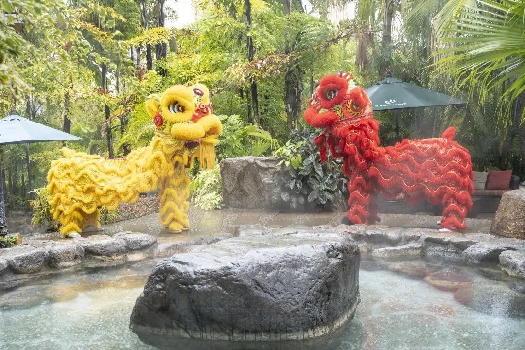 厦门春节人气,厦门过春节