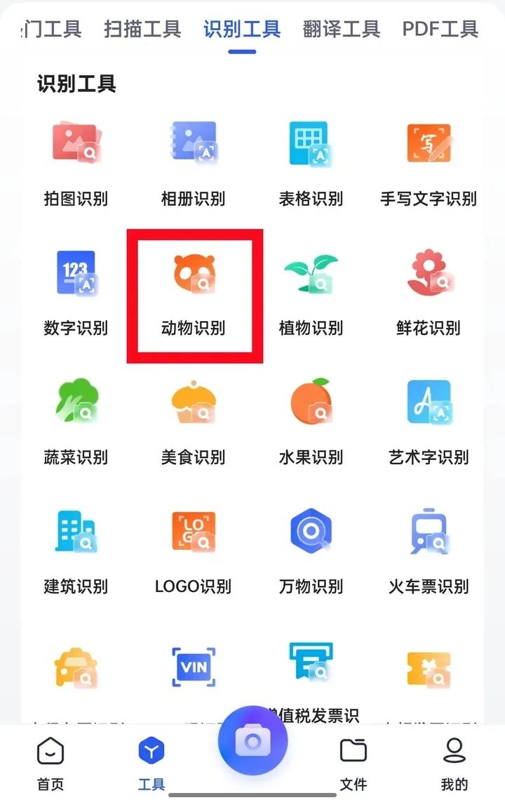 能够识别植物或动物的app,有什么app软件能识别各种动物