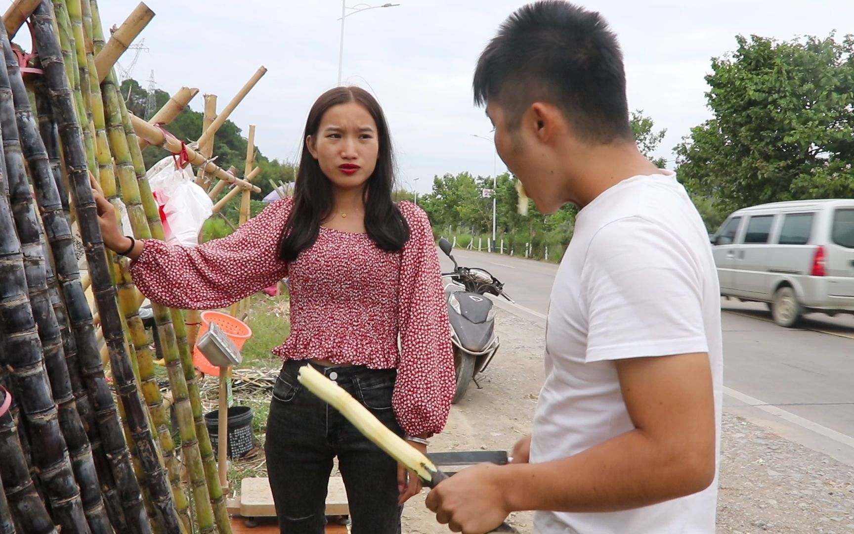 怎么种植甘蔗长得又粗又高又甜,甘蔗怎么种植能长得又粗又高又甜