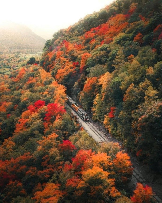 异性之间一旦缘尽会有这些信号,异性之间有这种思念才算真爱