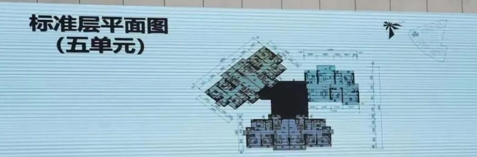 娣卞湷瀹濆畨11鍙风嚎妤肩洏,娣卞湷甯傞缚妗ヤ笘绾悕鍥柊妤肩洏