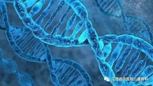 16岁还能有长高的方法吗,17岁有没有快速长高的方法