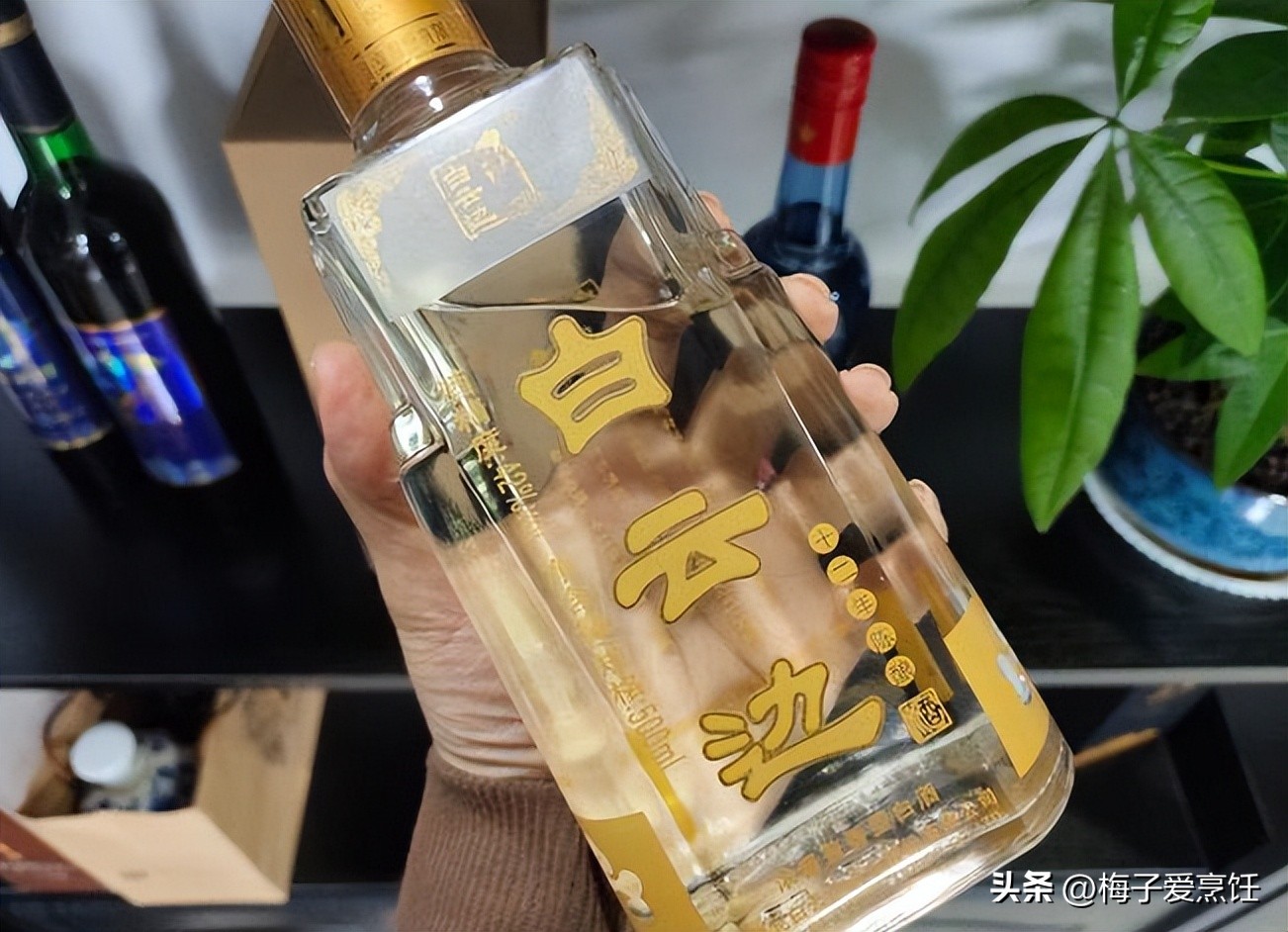 入坑白酒,入坑茅台