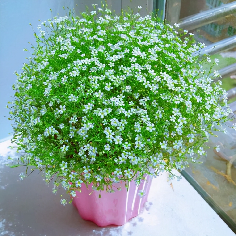 小伙为给女友挑口红做了十几页ppt,小伙给女友选口红做10多页ppt