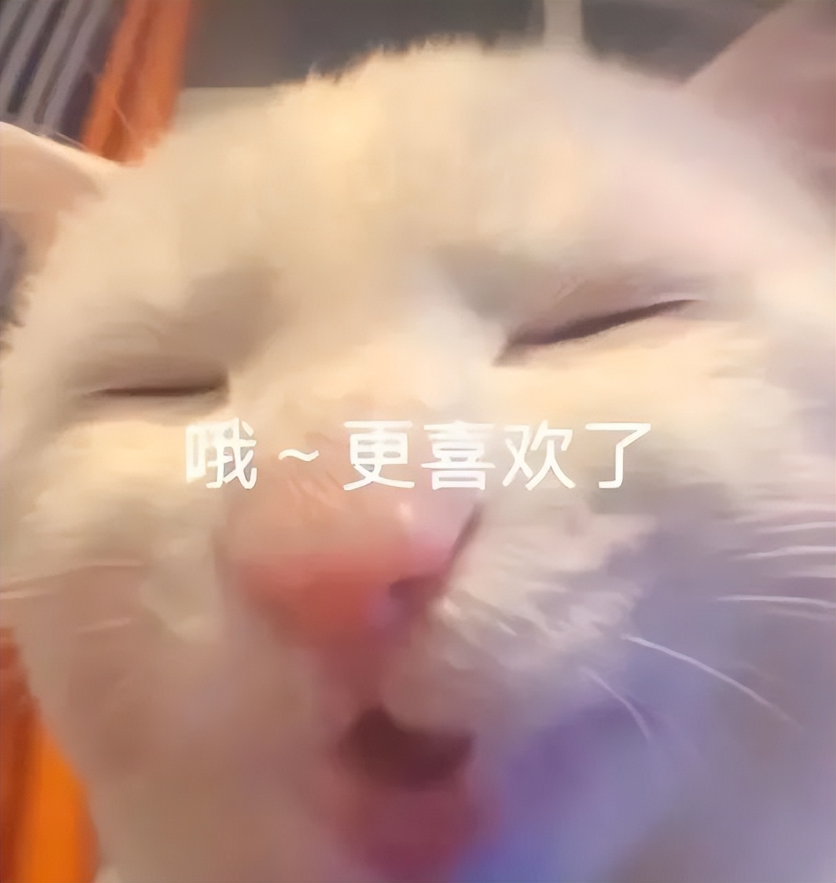 “家属出狱，接风洗尘？”网友的请假理由有多炸裂！