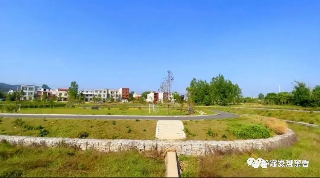 李文涛艺术签名,李文涛的摄影作品